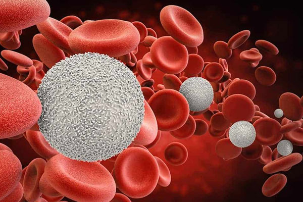 Blood Cancers