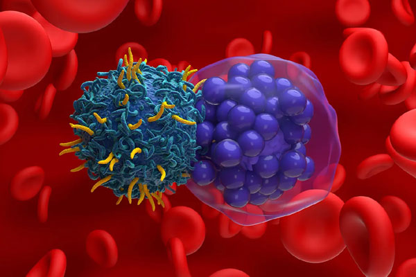 Hematology and Oncology